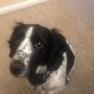 Meet your Posher, Carol